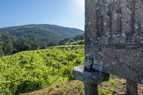 Landejendom i Mos, Pontevedra, Mos - € 1.800.000 | Ref: VIG24760 - foto 26