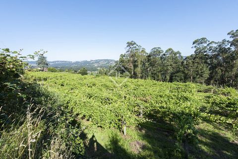 Landejendom i Mos, Pontevedra, Mos - € 1.800.000 | Ref: VIG24760 - foto 27