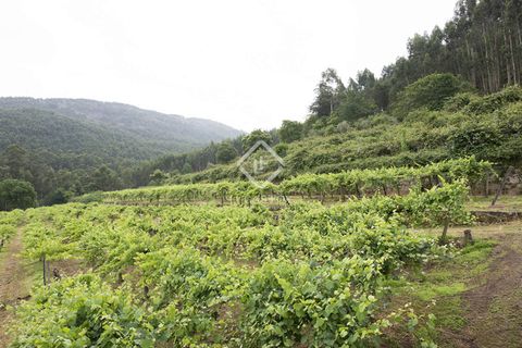 Landejendom i Mos, Pontevedra, Mos - € 1.800.000 | Ref: VIG24760 - foto 33
