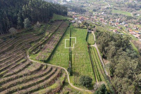 Landejendom i Mos, Pontevedra, Mos - € 1.800.000 | Ref: VIG24760 - foto 39