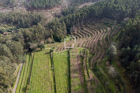 Landejendom i Mos, Pontevedra, Mos - € 1.800.000 | Ref: VIG24760 - foto 40