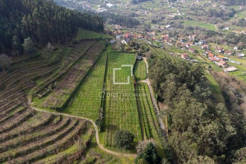 Landejendom i Mos, Pontevedra, Mos - € 1.800.000 | Ref: VIG24760 - foto 42