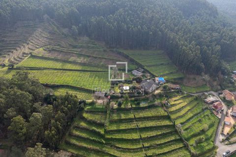 Landejendom i Mos, Pontevedra, Mos - € 1.800.000 | Ref: VIG24760 - foto 43