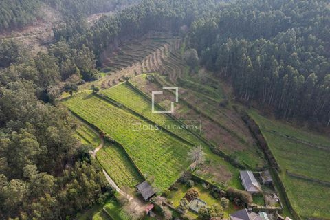 Landejendom i Mos, Pontevedra, Mos - € 1.800.000 | Ref: VIG24760 - foto 44