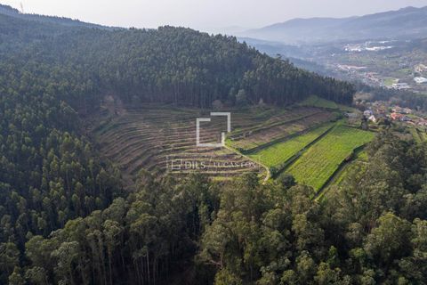 Landejendom i Mos, Pontevedra, Mos - € 1.800.000 | Ref: VIG24760 - foto 49