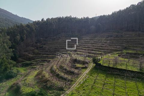 Landejendom i Mos, Pontevedra, Mos - € 1.800.000 | Ref: VIG24760 - foto 50