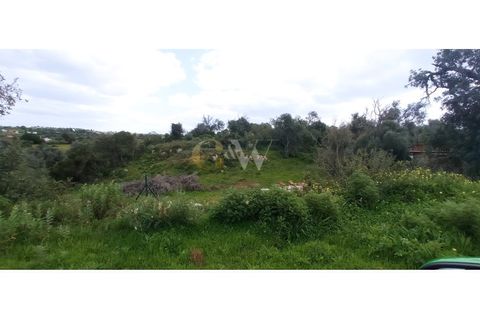 Farm i Guia, Faro, Guia - € 7.500.000 | Ref: LC _214 - foto 2