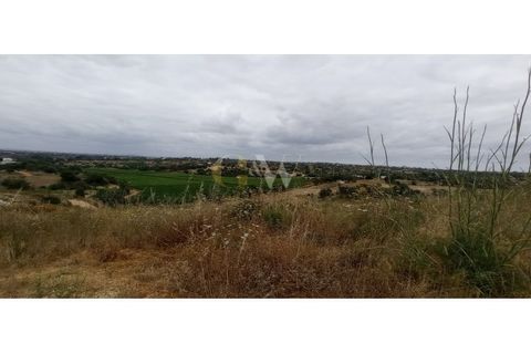 Farm i Guia, Faro, Guia - € 7.500.000 | Ref: LC _214 - foto 3