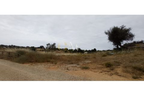 Farm i Guia, Faro, Guia - € 7.500.000 | Ref: LC _214 - foto 5