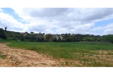 Farm i Guia, Faro, Guia - € 7.500.000 | Ref: LC _214 - foto 6
