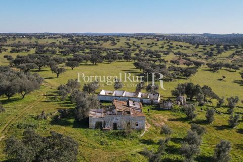 Landejendom i Monforte, Portalegre, Monforte - € 495.000 | Ref: 636-2 - foto 3