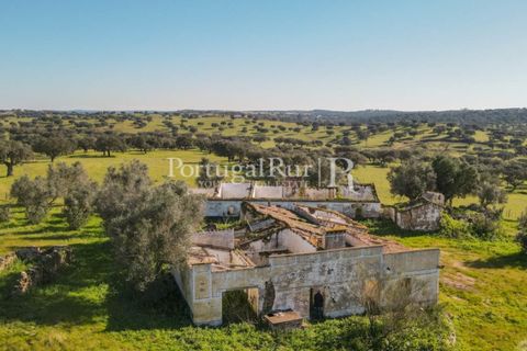 Landejendom i Monforte, Portalegre, Monforte - € 495.000 | Ref: 636-2 - foto 4