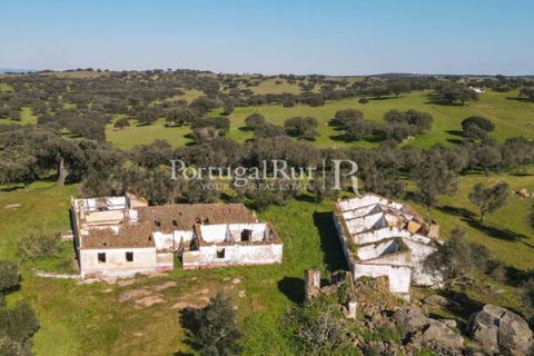 Landejendom i Monforte, Portalegre, Monforte - € 495.000 | Ref: 636-2 - foto 2
