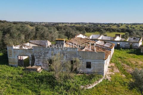 Landejendom i Monforte, Portalegre, Monforte - € 495.000 | Ref: 636-2 - foto 5