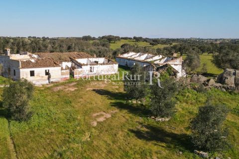 Landejendom i Monforte, Portalegre, Monforte - € 495.000 | Ref: 636-2 - foto 6