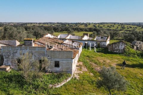 Landejendom i Monforte, Portalegre, Monforte - € 495.000 | Ref: 636-2 - foto 7