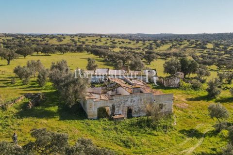 Landejendom i Monforte, Portalegre, Monforte - € 495.000 | Ref: 636-2 - foto 8