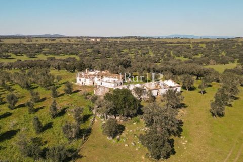 Landejendom i Monforte, Portalegre, Monforte - € 495.000 | Ref: 636-2 - foto 9