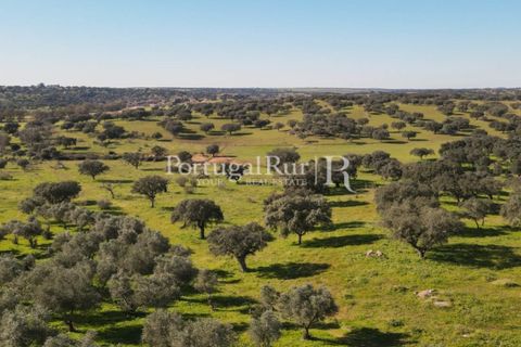 Landejendom i Monforte, Portalegre, Monforte - € 495.000 | Ref: 636-2 - foto 11