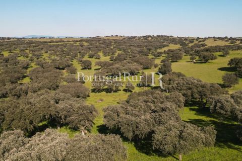 Landejendom i Monforte, Portalegre, Monforte - € 495.000 | Ref: 636-2 - foto 12
