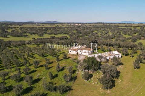 Landejendom i Monforte, Portalegre, Monforte - € 495.000 | Ref: 636-2 - foto 13