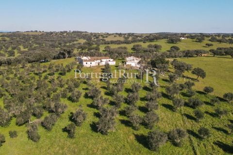 Landejendom i Monforte, Portalegre, Monforte - € 495.000 | Ref: 636-2 - foto 18