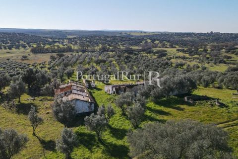 Landejendom i Monforte, Portalegre, Monforte - € 495.000 | Ref: 636-2 - foto 19
