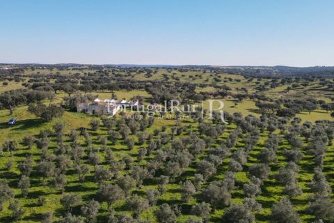 Landejendom i Monforte, Portalegre, Monforte - € 495.000 | Ref: 636-2 - foto 21