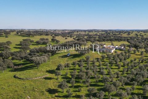 Landejendom i Monforte, Portalegre, Monforte - € 495.000 | Ref: 636-2 - foto 24