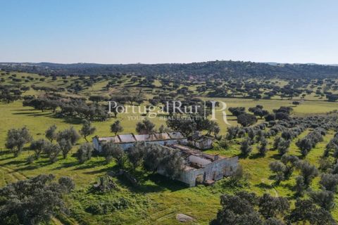 Landejendom i Monforte, Portalegre, Monforte - € 495.000 | Ref: 636-2 - foto 29
