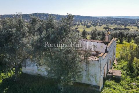 Landejendom i Monforte, Portalegre, Monforte - € 495.000 | Ref: 636-2 - foto 33