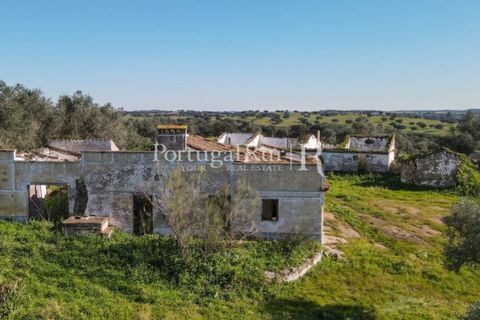 Landejendom i Monforte, Portalegre, Monforte - € 495.000 | Ref: 636-2 - foto 34