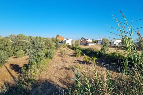 Villa a Santarem, Santarem, Santarem - € 200.000 | Ref: 22-IV-0075 - foto 9