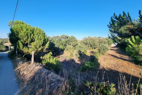 Villa a Santarem, Santarem, Santarem - € 200.000 | Ref: 22-IV-0075 - foto 10