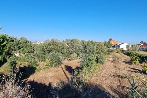 Villa a Santarem, Santarem, Santarem - € 200.000 | Ref: 22-IV-0075 - foto 11