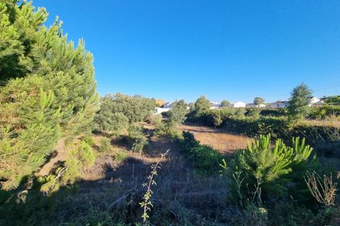 Villa a Santarem, Santarem, Santarem - € 200.000 | Ref: 22-IV-0075 - foto 13