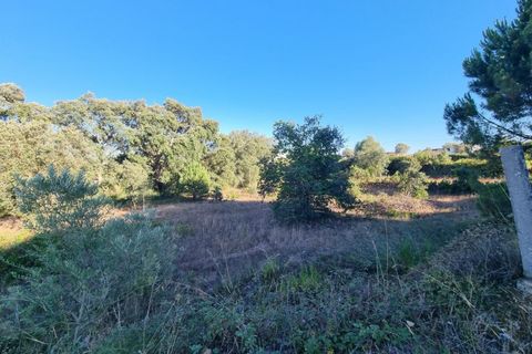 Villa a Santarem, Santarem, Santarem - € 200.000 | Ref: 22-IV-0075 - foto 14