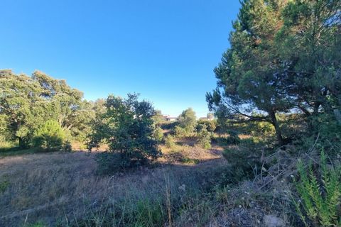 Villa a Santarem, Santarem, Santarem - € 200.000 | Ref: 22-IV-0075 - foto 15