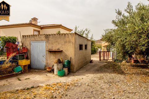 Villa i Sorbas, Almeria, Sorbas - € 169.950 | Ref: CAR4V02 - foto 25