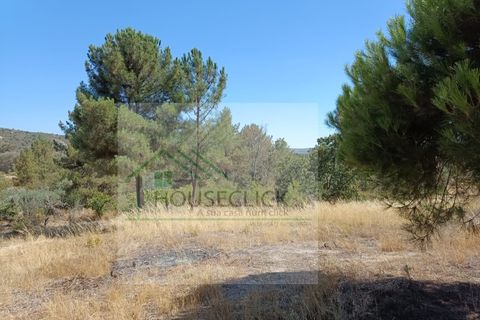 Helårsgrund i Belmonte, Castelo Branco, Belmonte - € 30.000 | Ref: TER_482 - foto 2