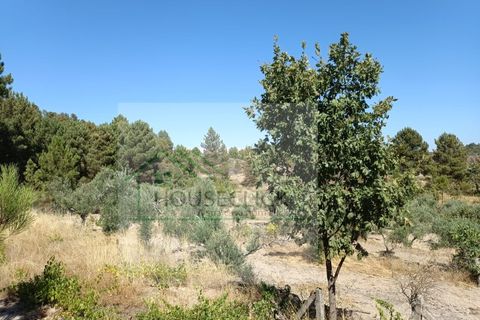 Helårsgrund i Belmonte, Castelo Branco, Belmonte - € 30.000 | Ref: TER_482 - foto 3