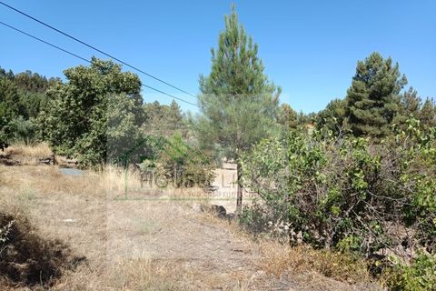 Helårsgrund i Belmonte, Castelo Branco, Belmonte - € 30.000 | Ref: TER_482 - foto 5