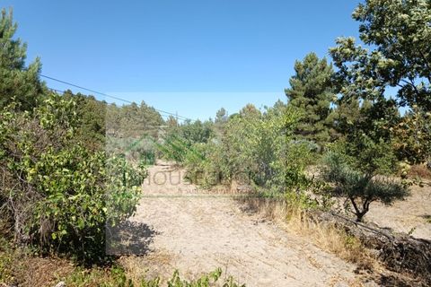 Helårsgrund i Belmonte, Castelo Branco, Belmonte - € 30.000 | Ref: TER_482 - foto 6