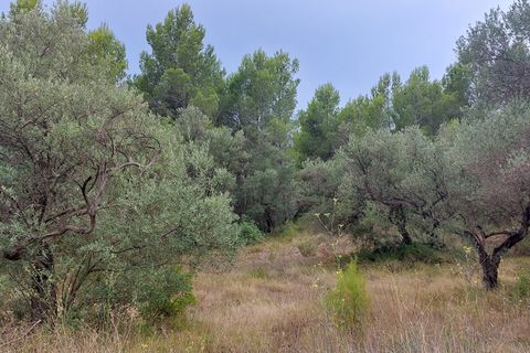 Finca i Aldover, Tarragona, Aldover - € 11.000 | Ref: 739 - foto 4