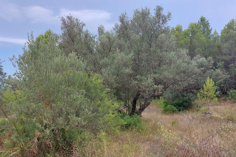 Finca i Aldover, Tarragona, Aldover - € 11.000 | Ref: 739 - foto 2