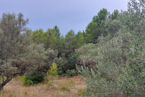Finca i Aldover, Tarragona, Aldover - € 11.000 | Ref: 739 - foto 3