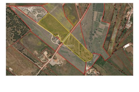 Helårsgrund i Lagos, Faro, Lagos - € 295.000 | Ref: RC246 - foto 11