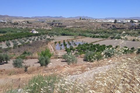 Farm hus i Albox, Almeria, Albox - € 197.000 | Ref: APS 1879 - foto 17