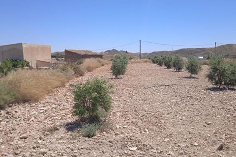Farm hus i Albox, Almeria, Albox - € 197.000 | Ref: APS 1879 - foto 18