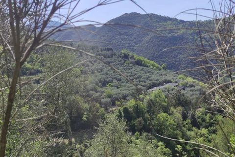 Masia a Apricale, Imperia, Apricale - € 650.000 | Ref: 7330495 - foto 2
